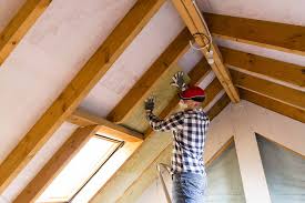 Best Eco-Friendly or Green Insulation Solutions  in Towamensing Trails, PA